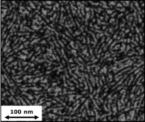 SEM Back-scattered surface of hybrid ZnO and P3HT-b-PEO block copolymer nanofibers self-assembly. White is the ZnO phase and black is the organic phase.‏