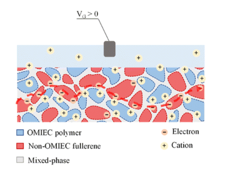 Screenshot 2026-03-11 172338