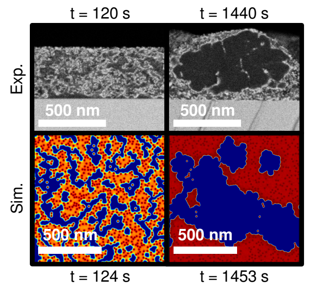 Screenshot 2026-03-11 172911